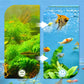 🐟🐠Professional Aquarium Filtering Pad Special Offer at 51% Off